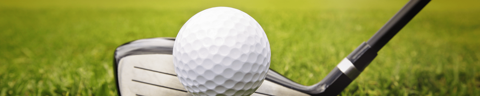 Photo of golf ball and golf iron on golf course