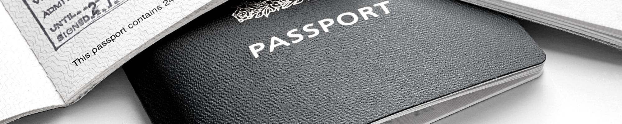 passport banner