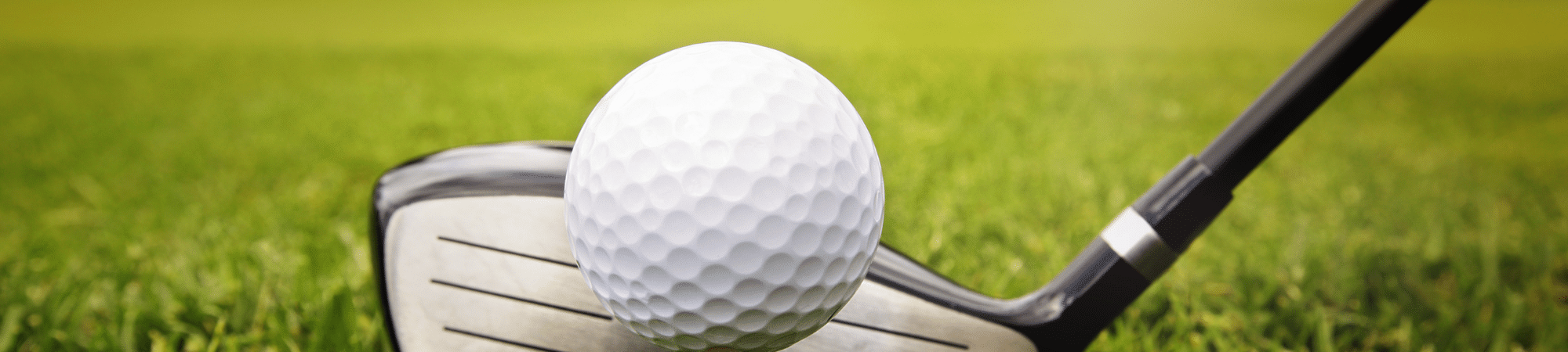 Photo of golf ball and golf iron on golf course