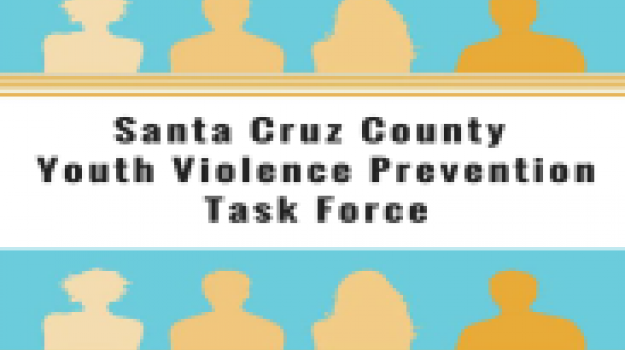 Youth Violence Prevention Task Force